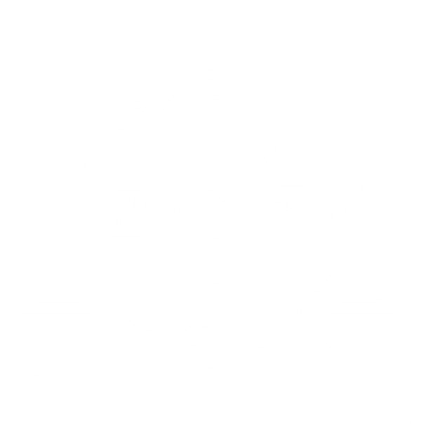  EASYLIFTS ELITE FITNESS